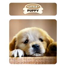 Дитячий пластиковий столик з двома стільчиками Bambi ETZY-13 бежево-коричневий