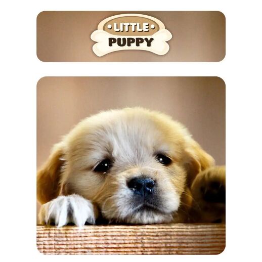 Дитячий пластиковий столик з двома стільчиками Bambi ETZY-13 бежево-коричневий