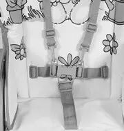 Стільчик для годування Lorelli (Bertoni) Oliver Cat Pink рожевий