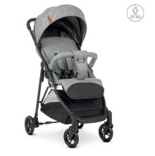 Прогулянкова дитяча коляска Bambi M 4249-2 Medium Gray Сіра**
