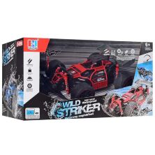 Гоночна Машина на р/у 689-367 на гумових колесах. На акумуляторі. На радіокеруванні / 2 кольори