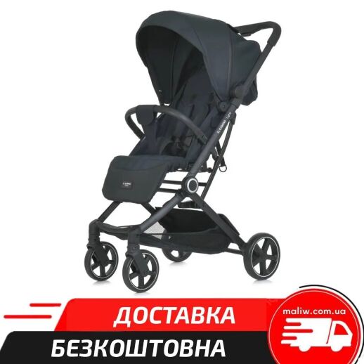 Дитяча коляска El Camino 1099 Lyra з чохлом на ніжки Black
