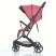 Дитяча прогулянкова коляска El Camino 1099 Lyra з чохлом на ніжки Rose