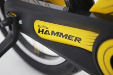 Дитячий велосипед колеса 16 дюймів Hammer Brilliant HMR-890 магнієва рама з пляшечкою рожевий