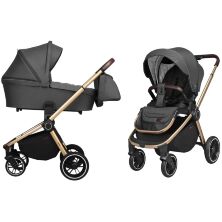Коляска універсальна CARRELLO CRL-8510 Iron Grey рама золота з дощовиком сіра
