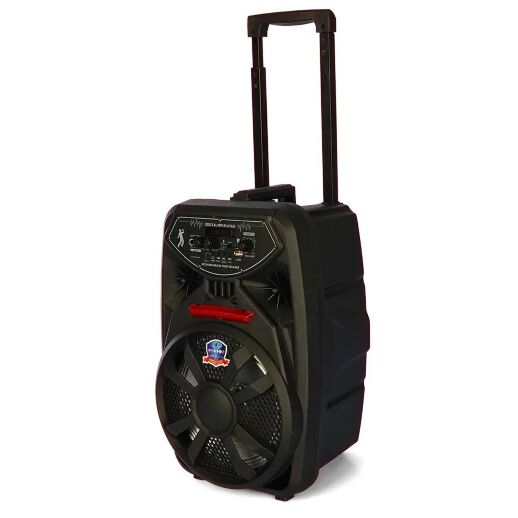 Колонка музична 8 дюймів PK-09L на акумуляторі / пульт та мікрофон / TFслот Bluetooth FM MP3 на колесах