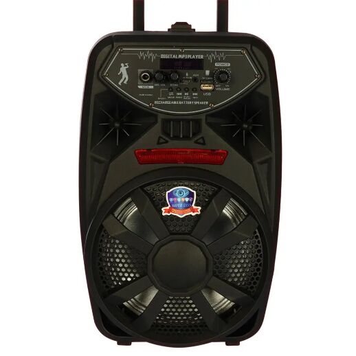 Колонка музична 8 дюймів PK-09L на акумуляторі / пульт та мікрофон / TFслот Bluetooth FM MP3 на колесах