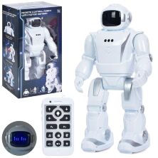 Дитячий Інтерактивний Робот J1062A